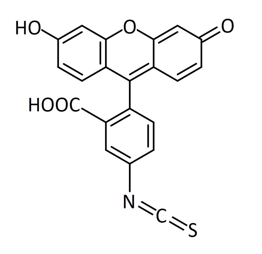 FITC (Fluorescein isothiocyanate)