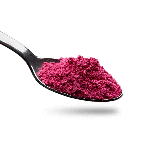TRITC lysine dextran TdB Labs tritc-lysine-dextran-tdb-labs