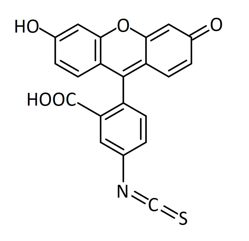 FITC (Fluorescein isothiocyanate) – TdB Labs