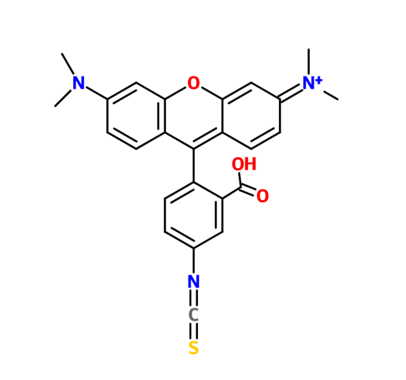 TRITC (Tetramethylrhodamine isothiocyanate)